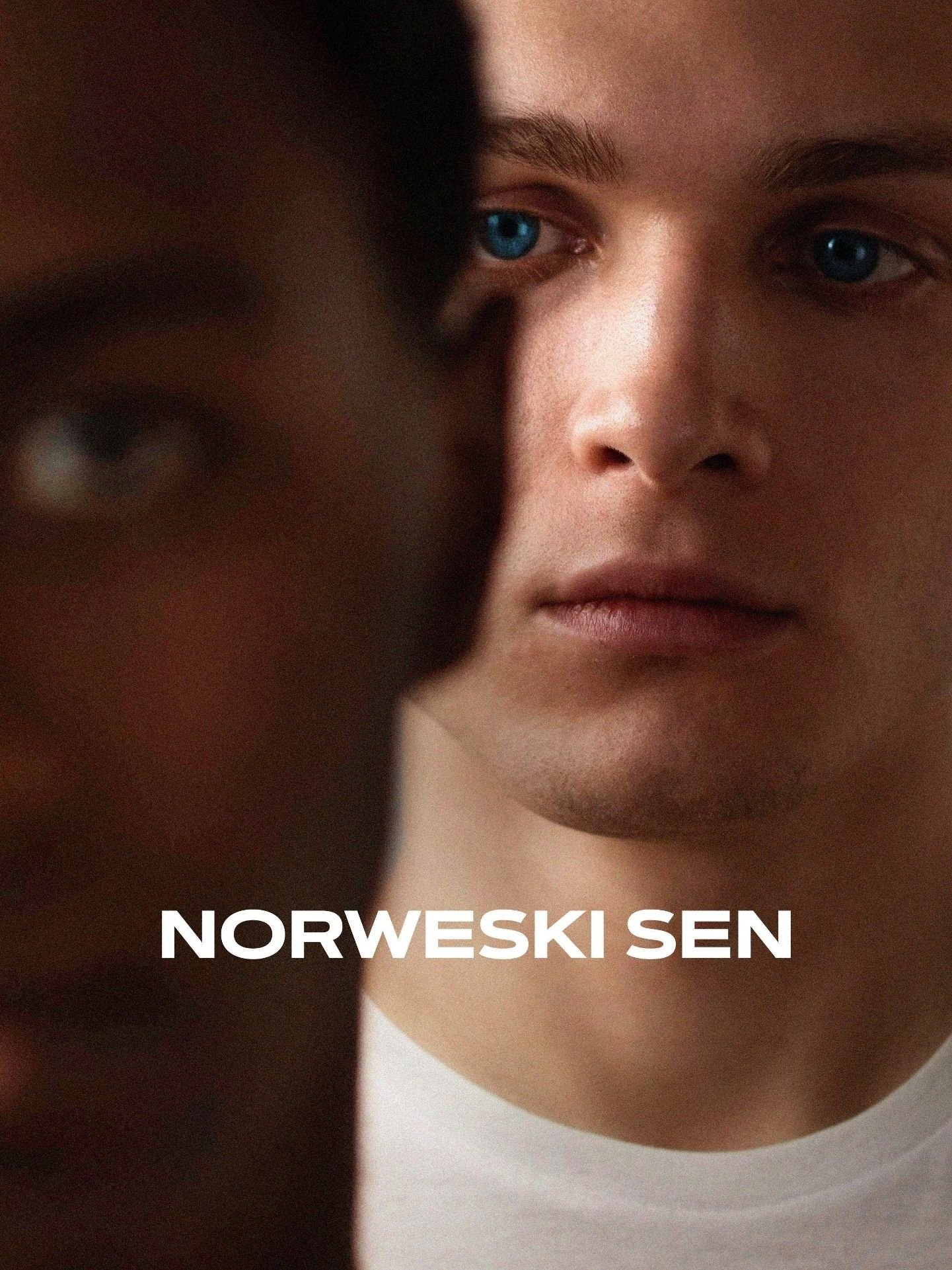 Oglądaj Norwegian Dream