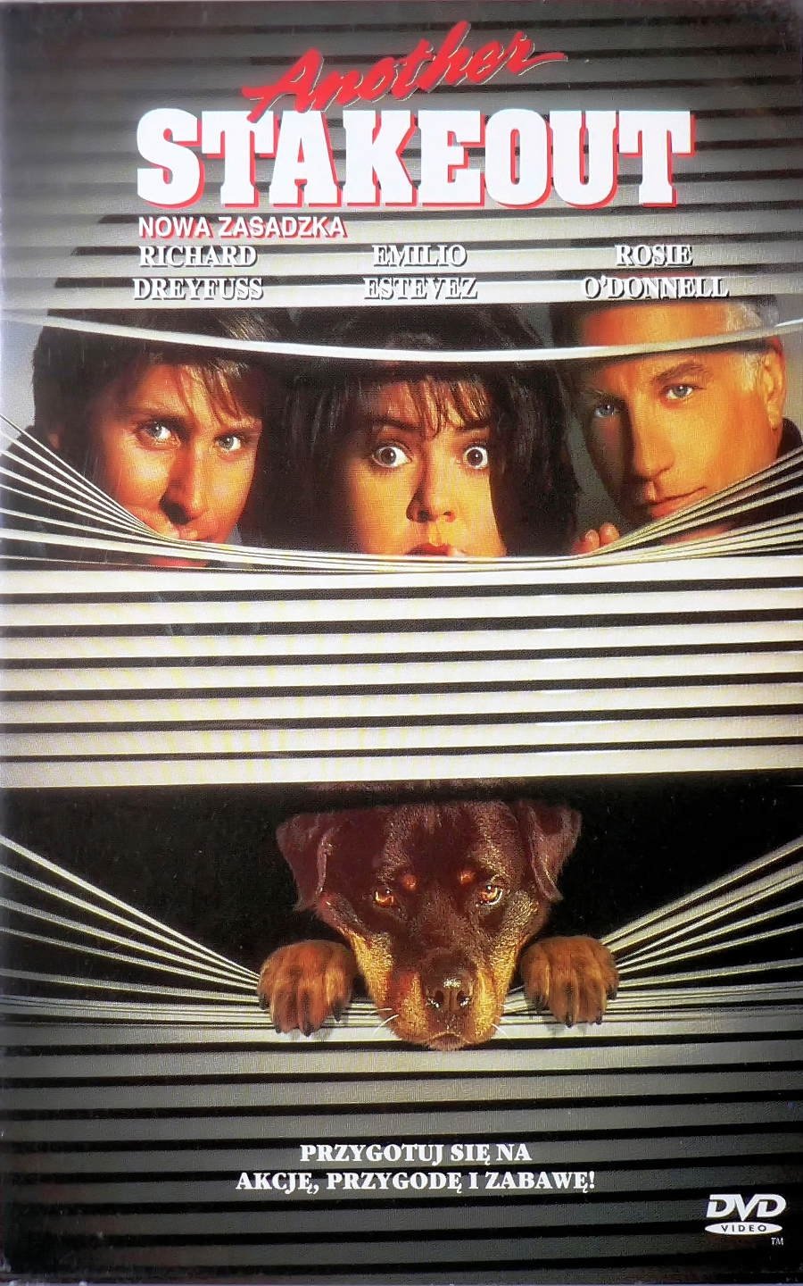 Oglądaj Nowa zasadzka