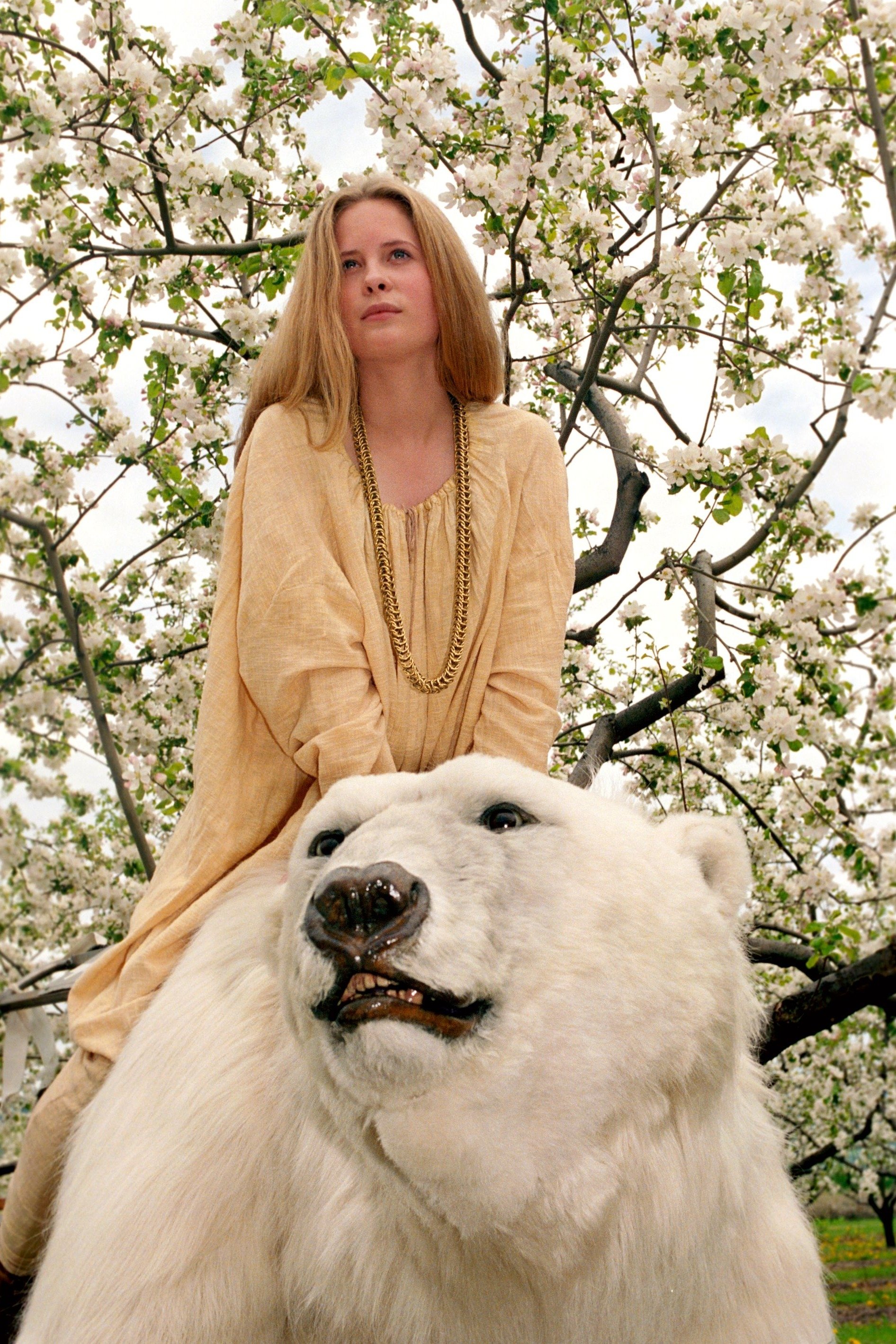 Oglądaj O królu w niedźwiedzia zaklętym