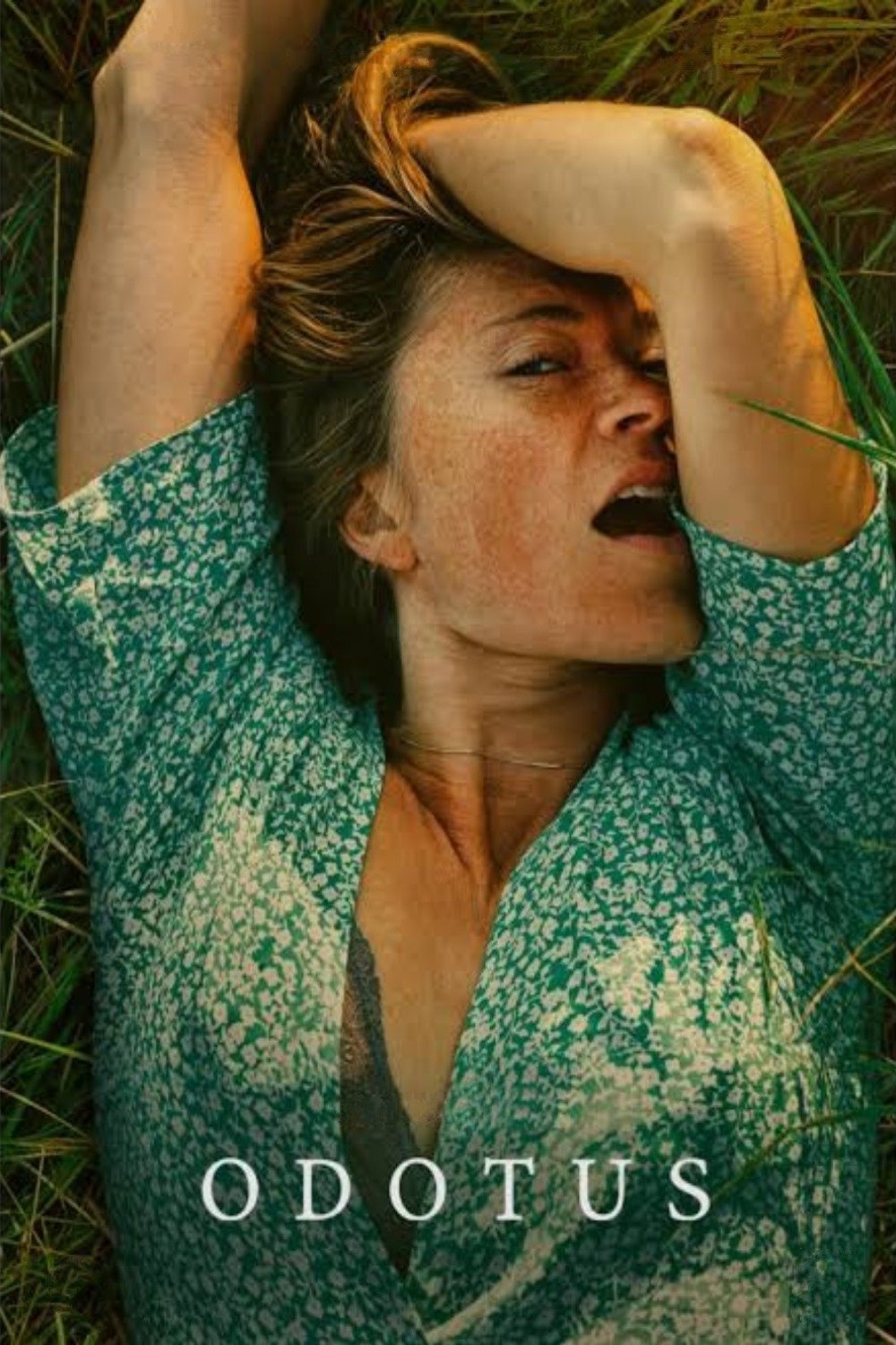 Oglądaj Oczekiwanie