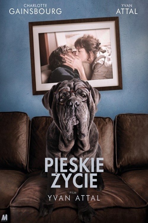 Oglądaj Pieskie życie