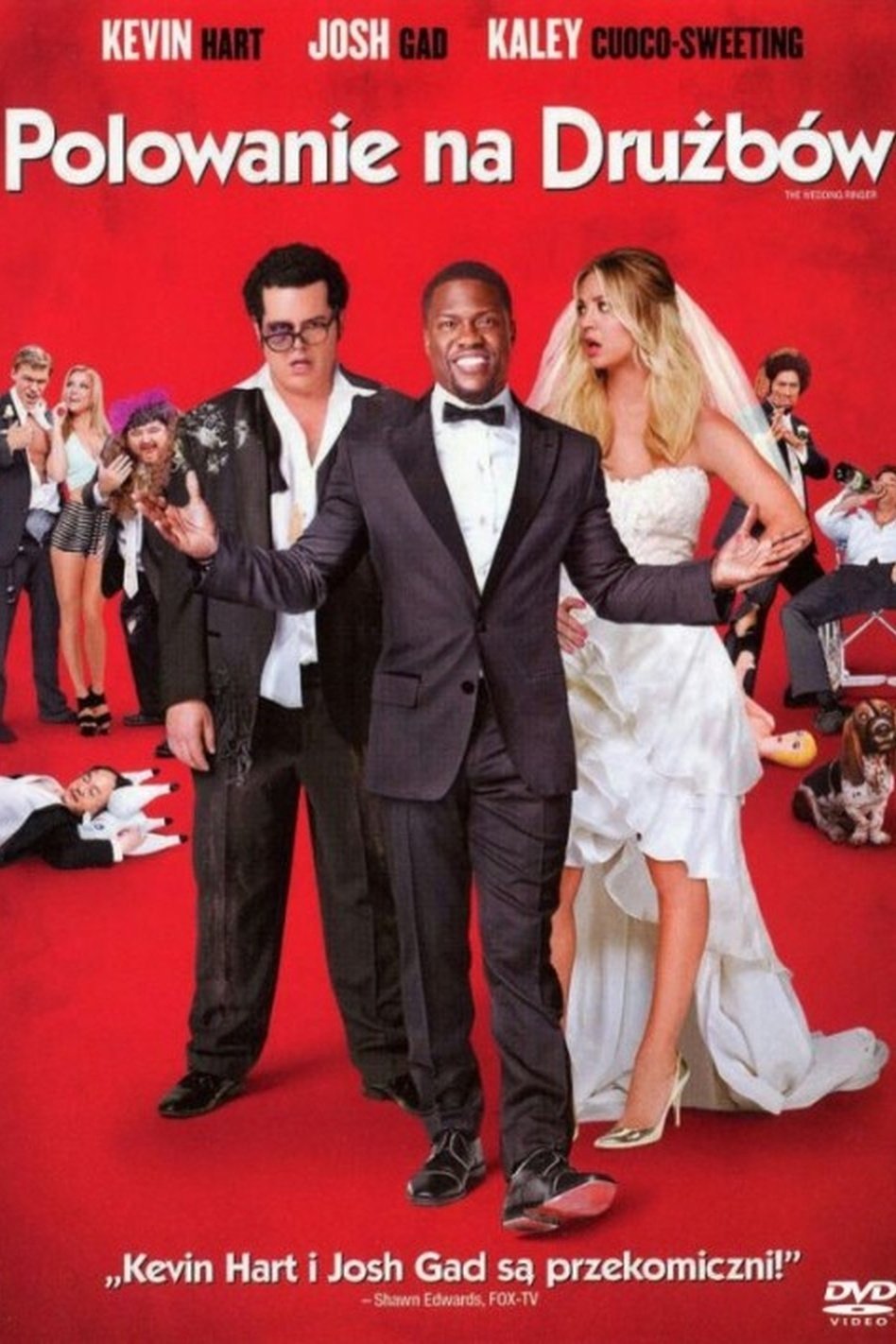 Oglądaj Polowanie na drużbów