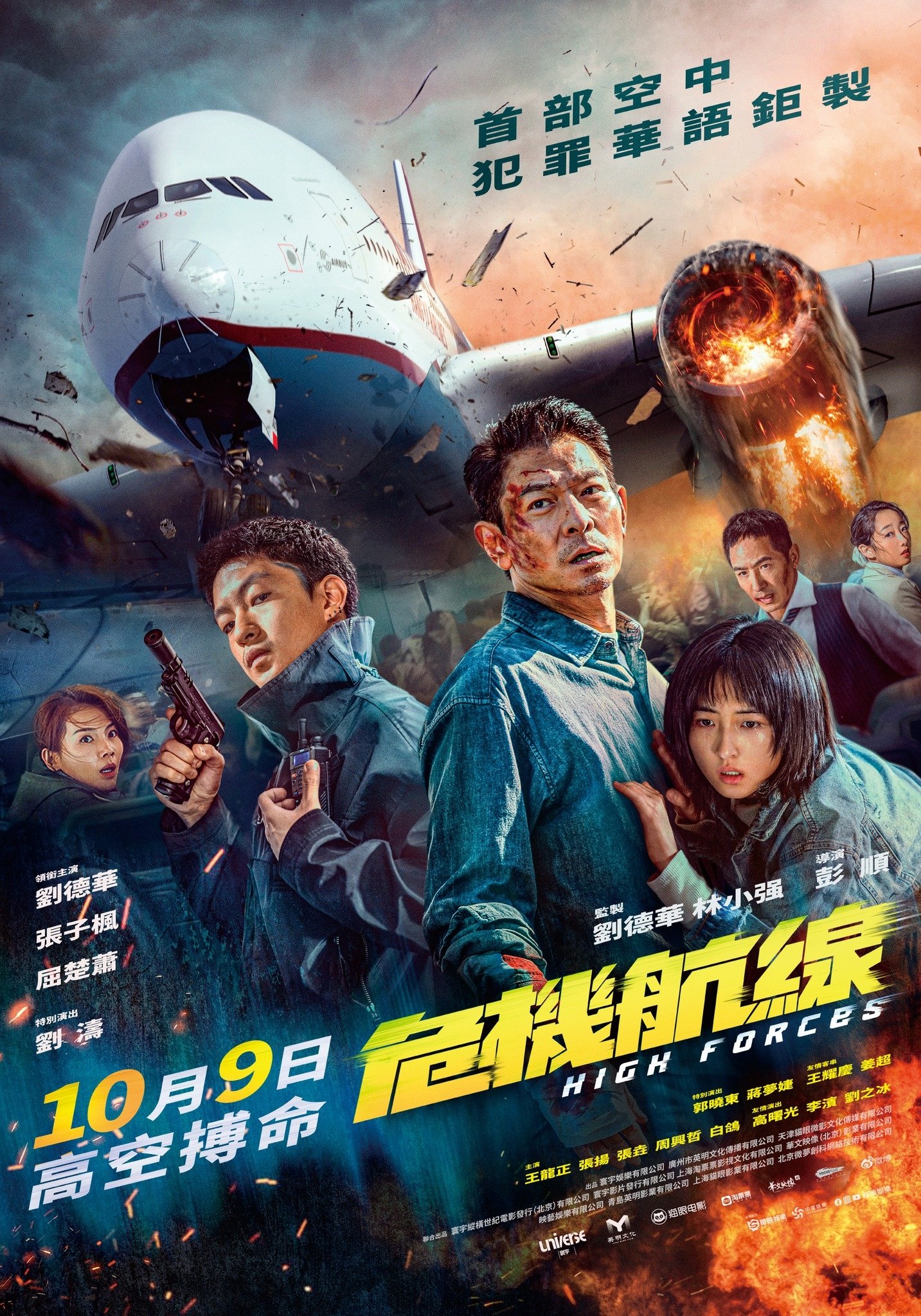 Oglądaj Porwany lot