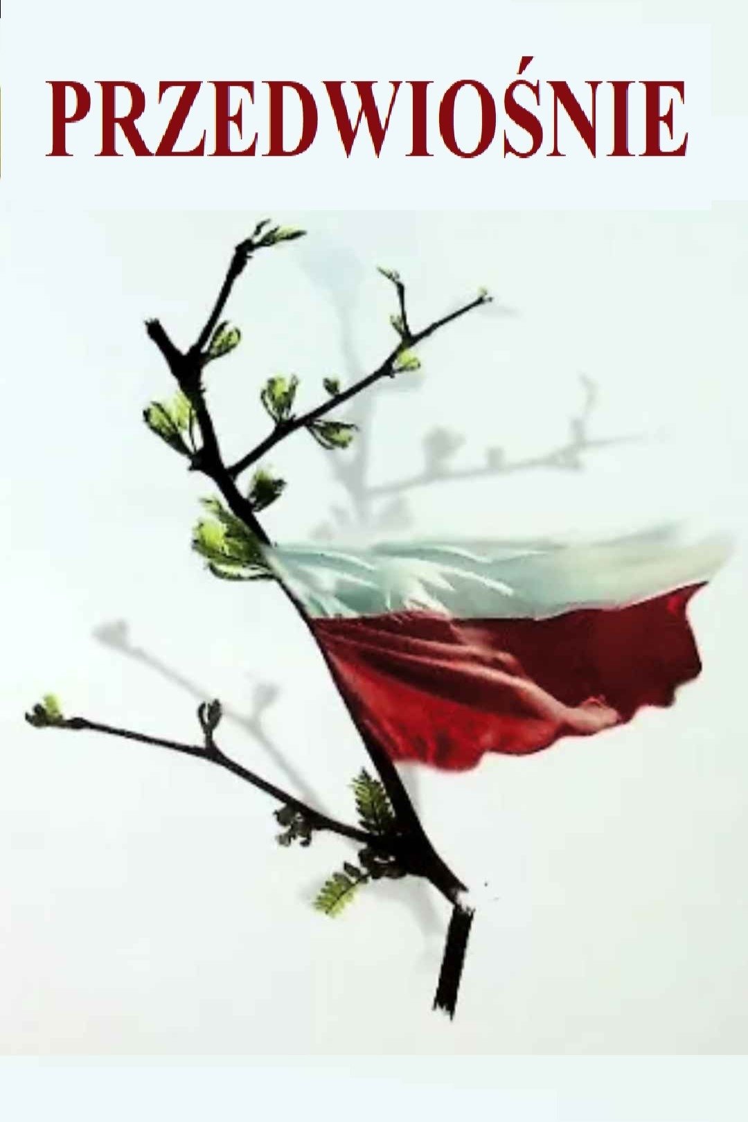 Oglądaj Przedwiośnie