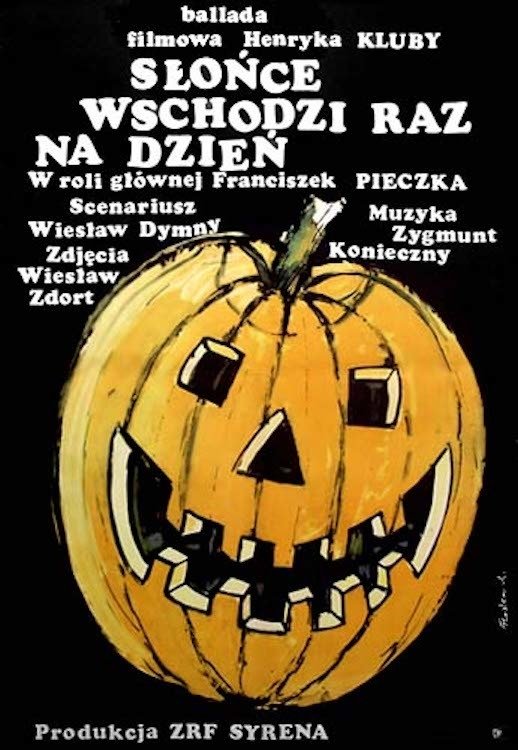 Oglądaj Słońce wschodzi raz na dzień