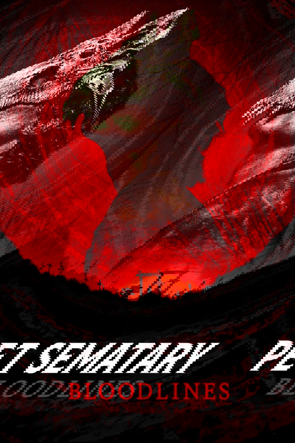 Oglądaj Smętarz dla zwierzaków. Początki