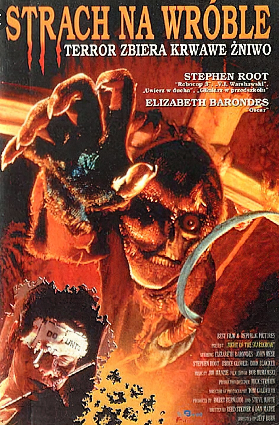 Oglądaj Strach na wróble