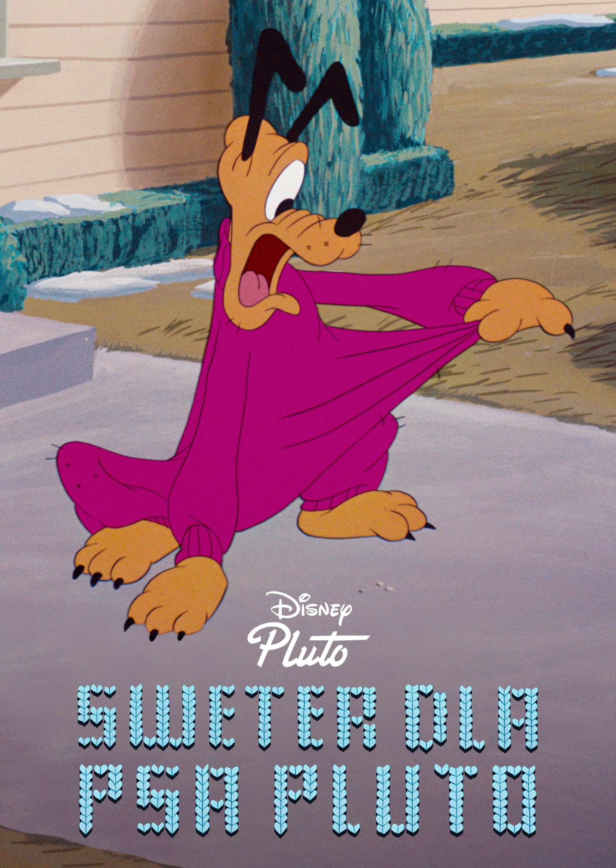 Oglądaj Sweter dla psa Pluto