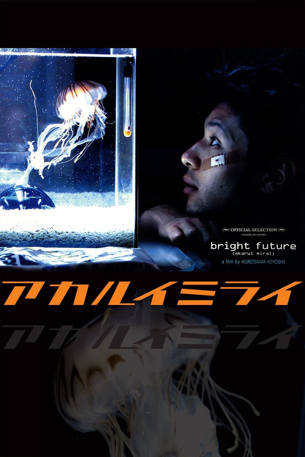 Oglądaj Świetlana przyszłość