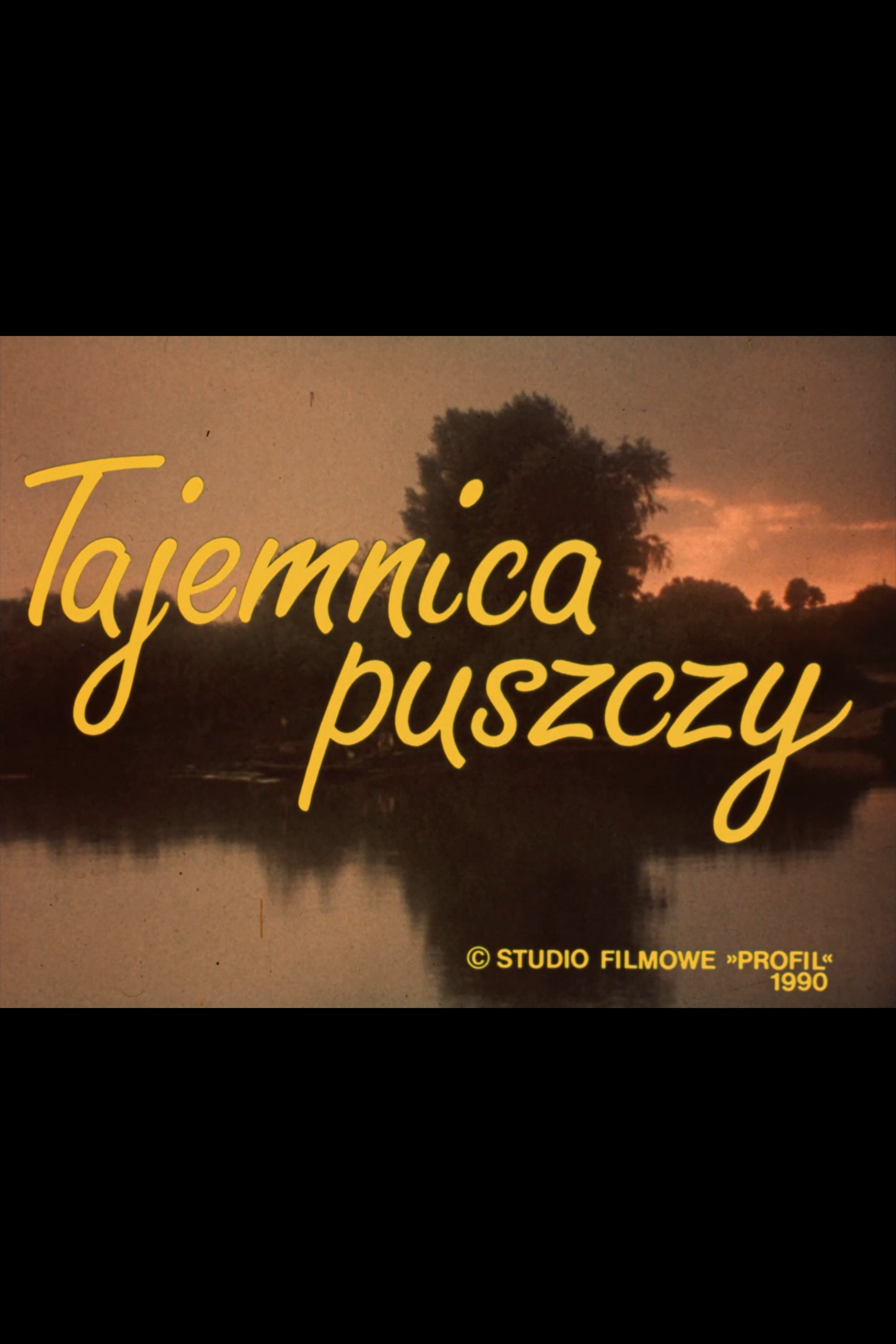 Oglądaj Tajemnica puszczy