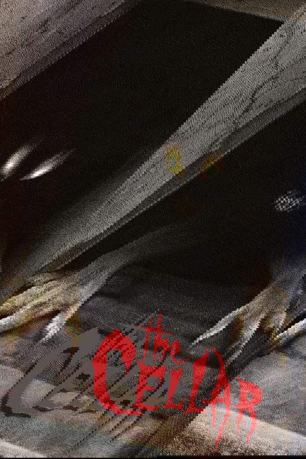 Oglądaj Tajemnicza piwnica