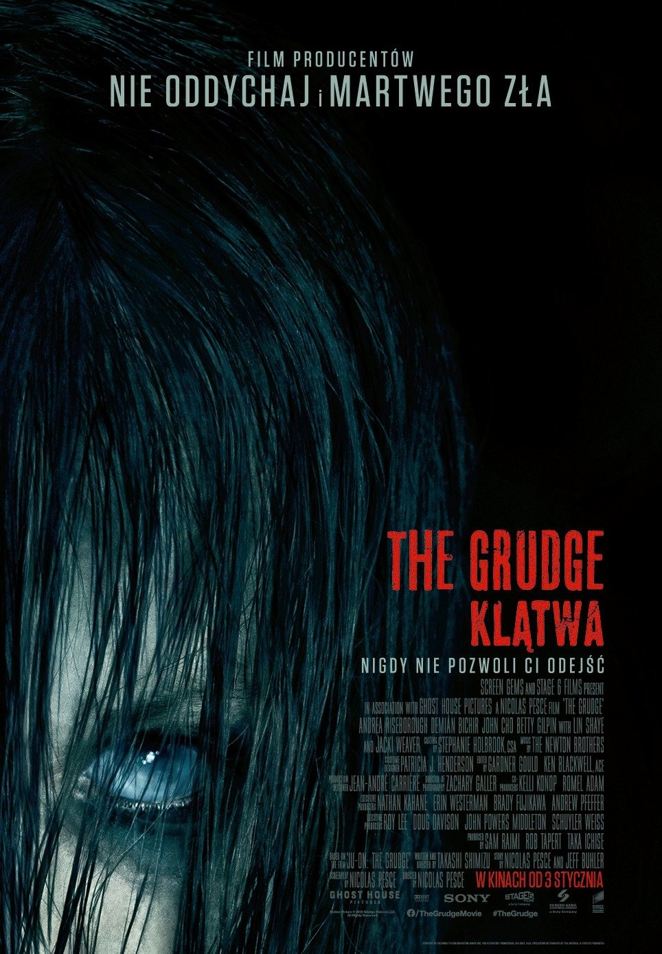 Oglądaj The Grudge: Klątwa