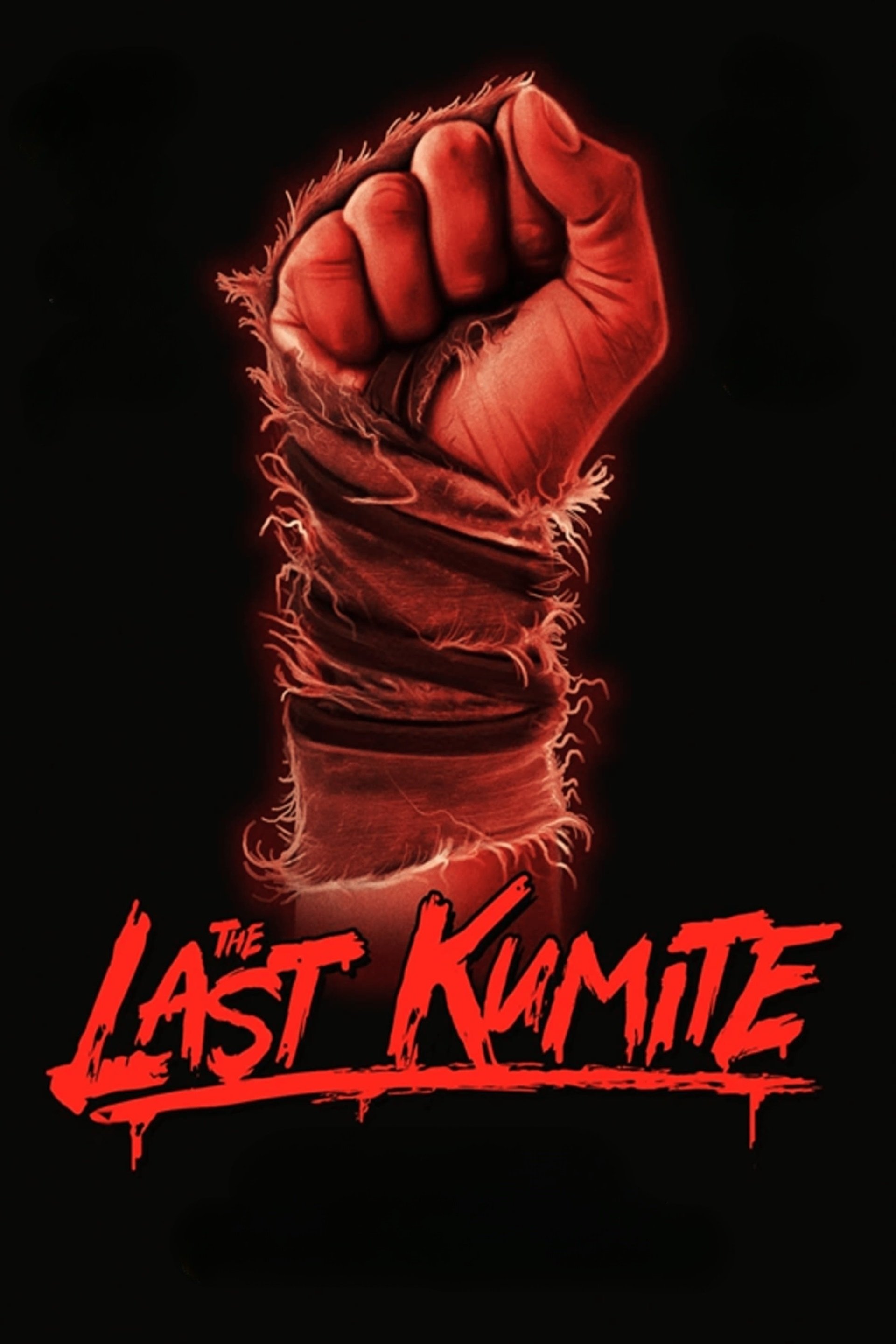 Oglądaj The Last Kumite