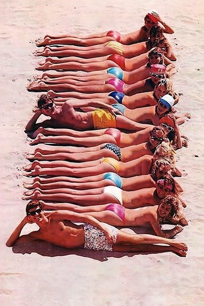 Oglądaj Wakacje w kurorcie