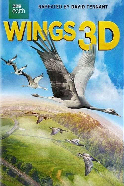 Oglądaj Wings 3D