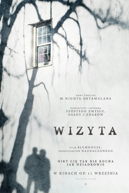 Oglądaj Wizyta