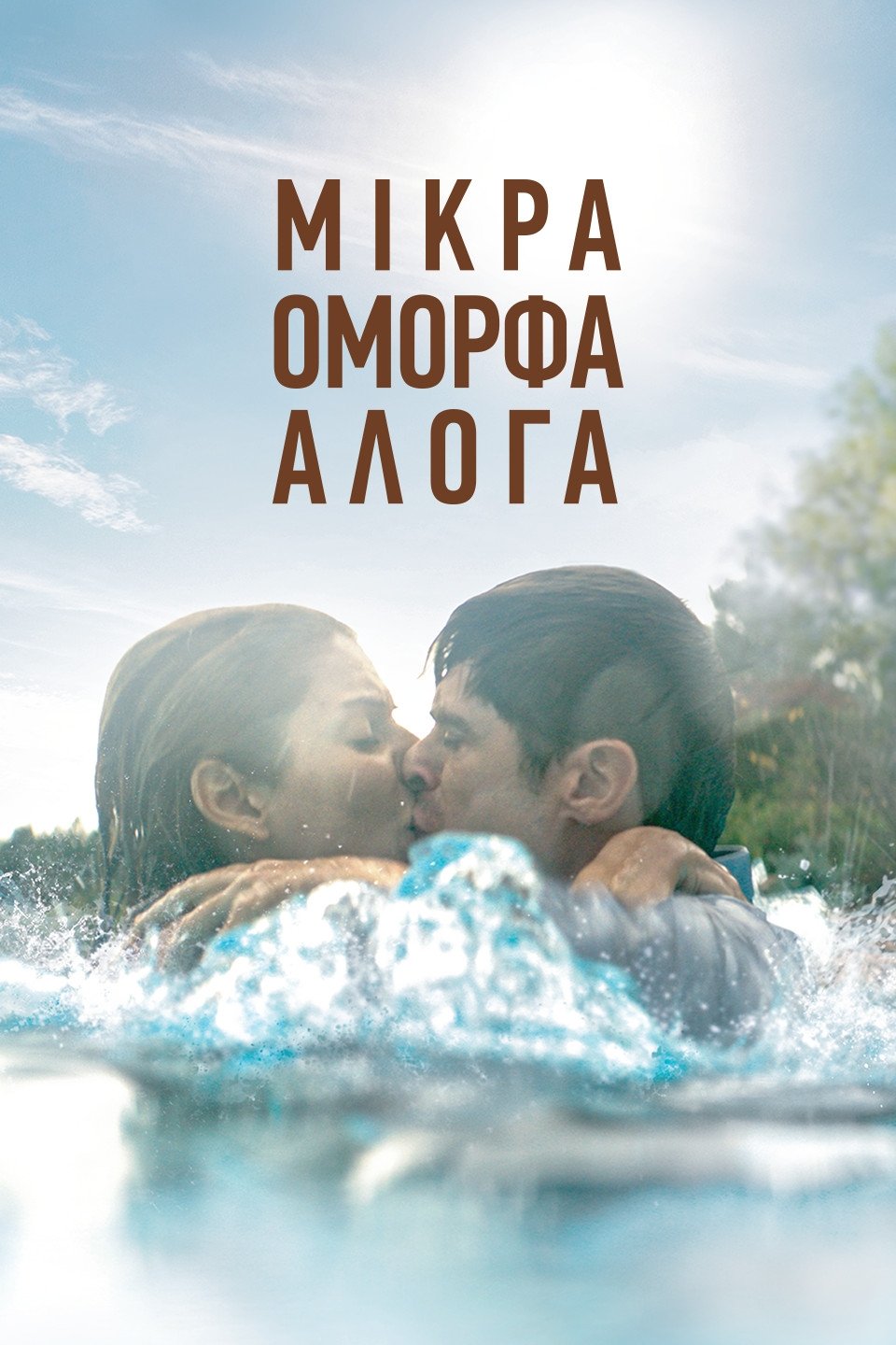 Oglądaj Wszystkie piękne koniki