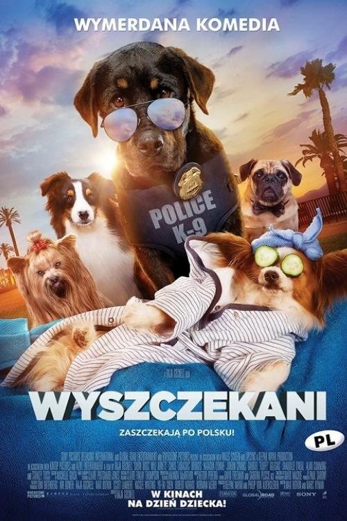 Oglądaj Wyszczekani