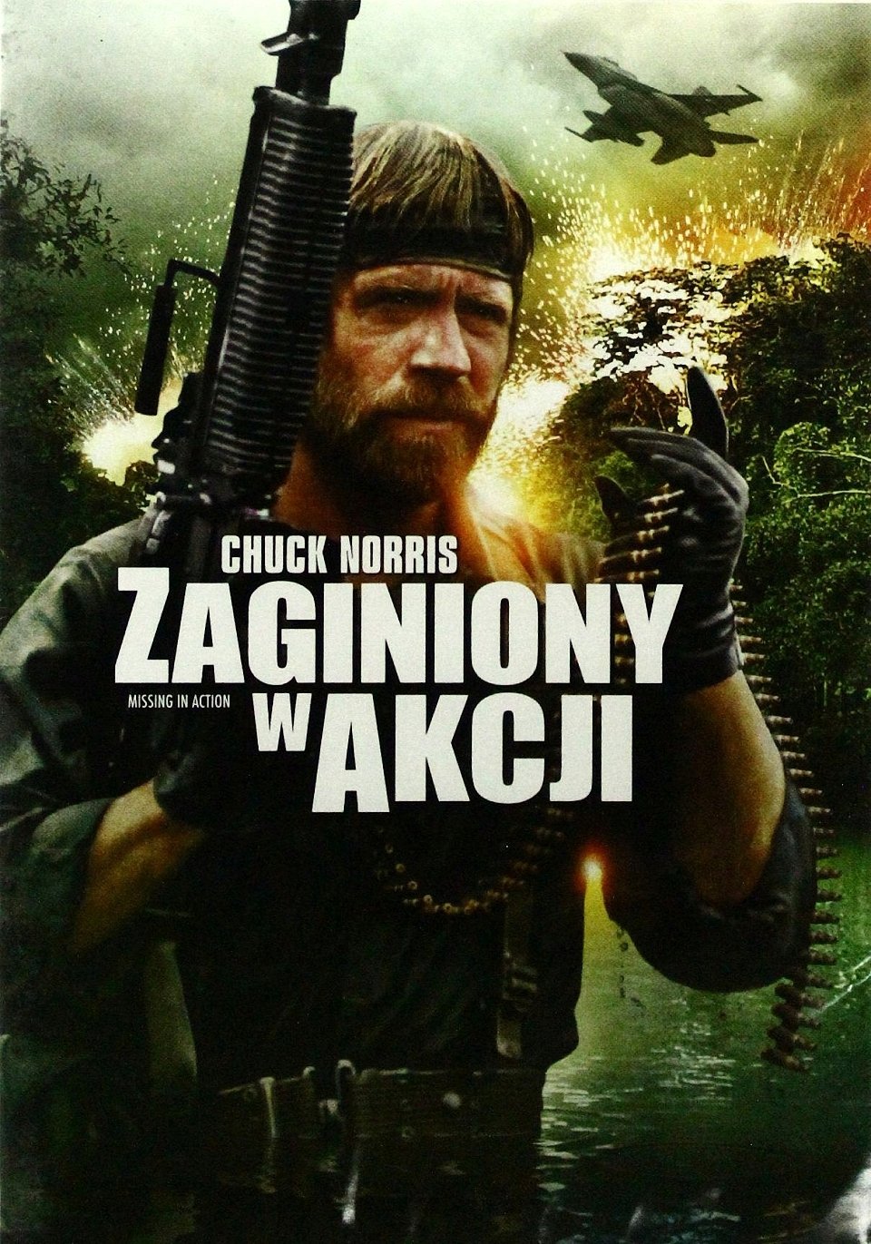 Oglądaj Zaginiony w Akcji