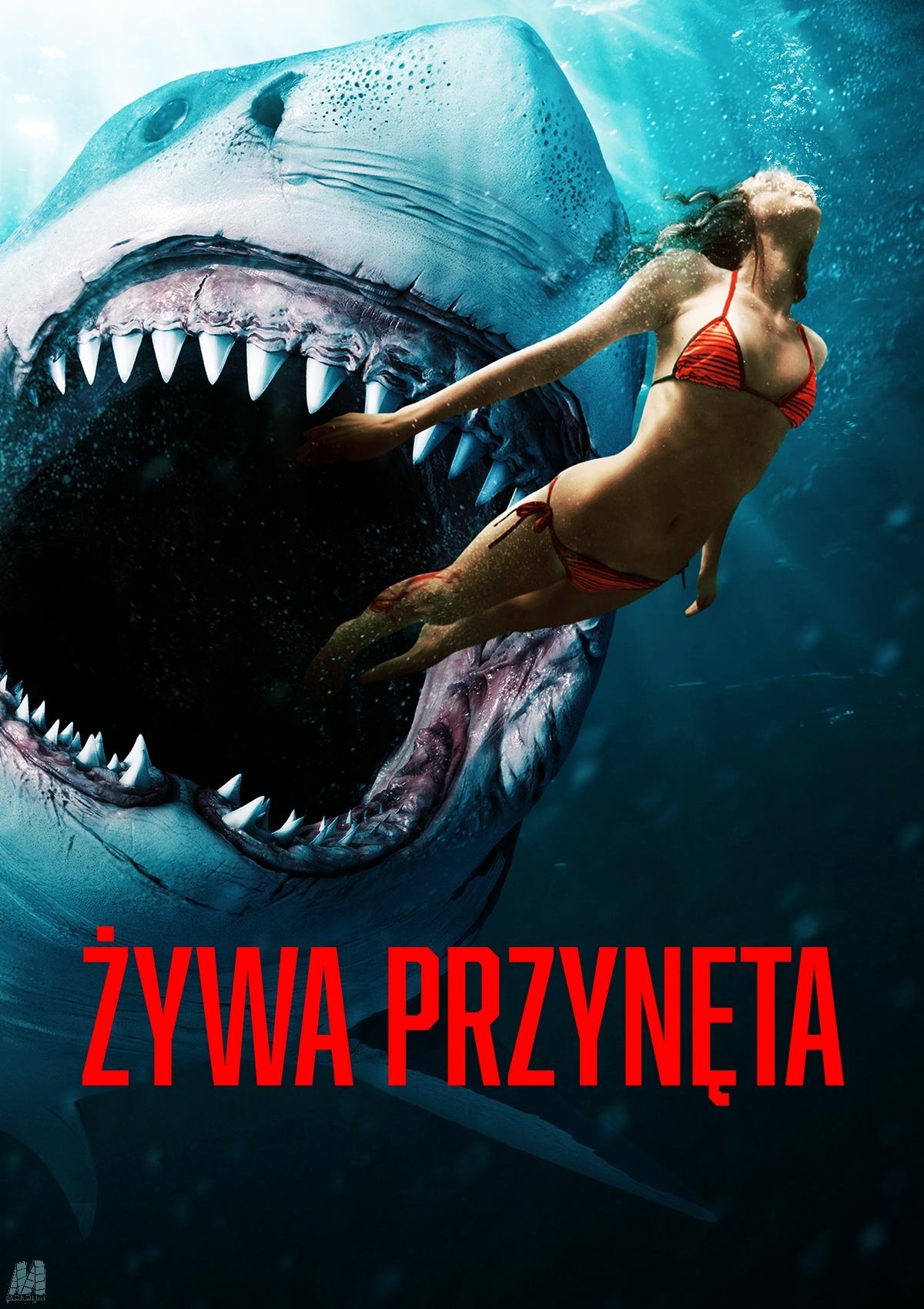Oglądaj Żywa przynęta