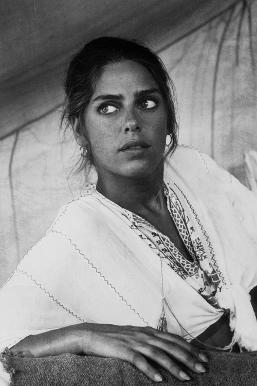 Daria Halprin zdjęcie