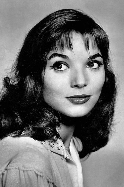 Elsa Martinelli zdjęcie