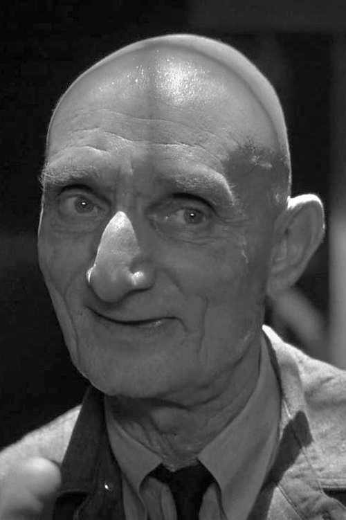 Harry Bugin zdjęcie