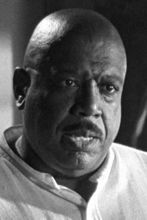 Ivory Ocean zdjęcie