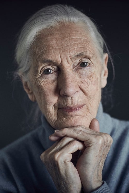 Jane Goodall zdjęcie