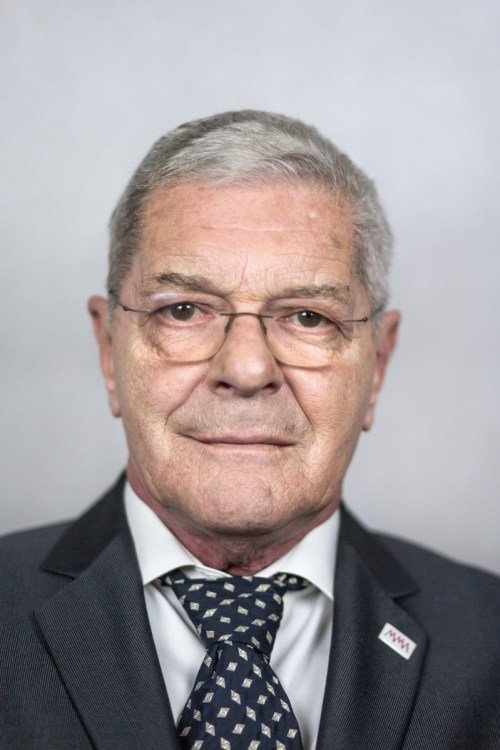 Károly Mécs zdjęcie