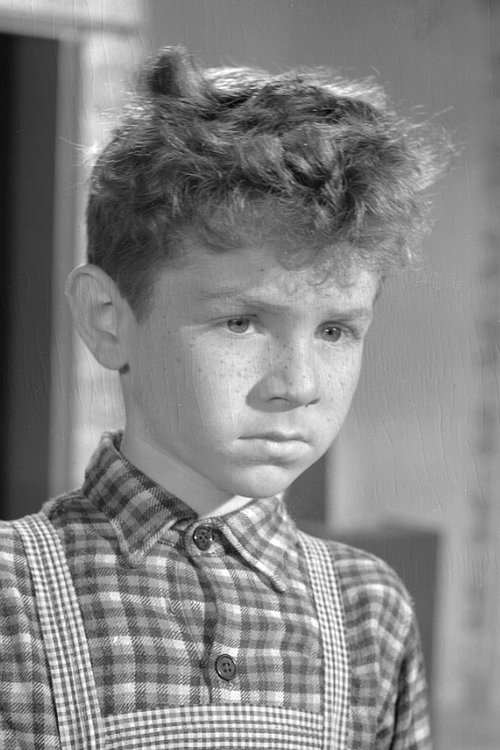 Ludwik Halicz zdjęcie