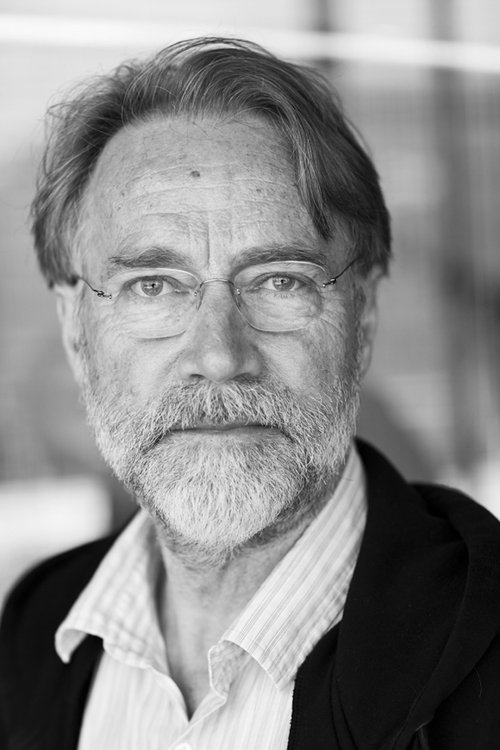 Niklas Falk zdjęcie