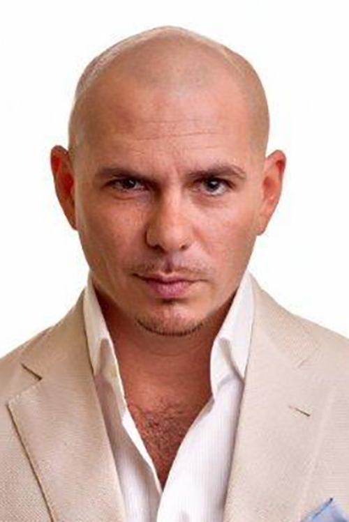 Pitbull zdjęcie