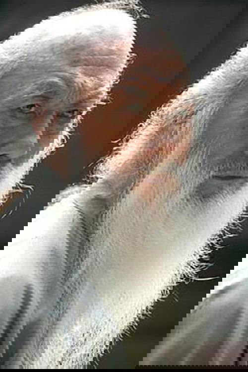 Yu Chenghui zdjęcie