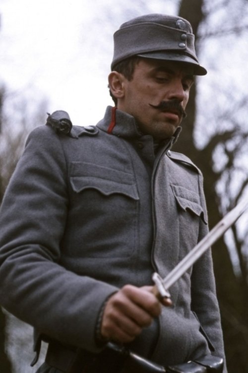 Zoltán Bezerédy zdjęcie